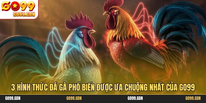 3 hình thức đá gà phổ biến được ưa chuộng nhất của GO99