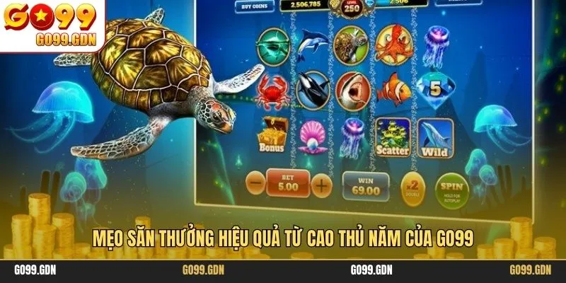 Mẹo săn thưởng hiệu quả từ cao thủ năm của GO99